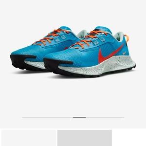 Nike Pegasus Trail 3